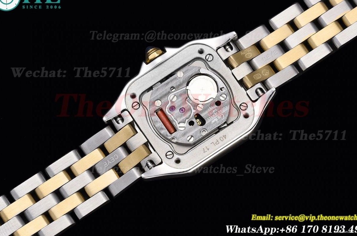 Dia YG SS Ladies White De Swiss 8848F Dial Secrete Panthere 22mm Qtz 0115
